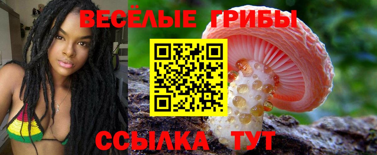 Знаменск  Галлюциногенные грибы ЛСД  Вход с VPN 
